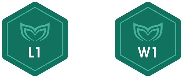 Wave 1