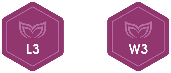 Wave 3